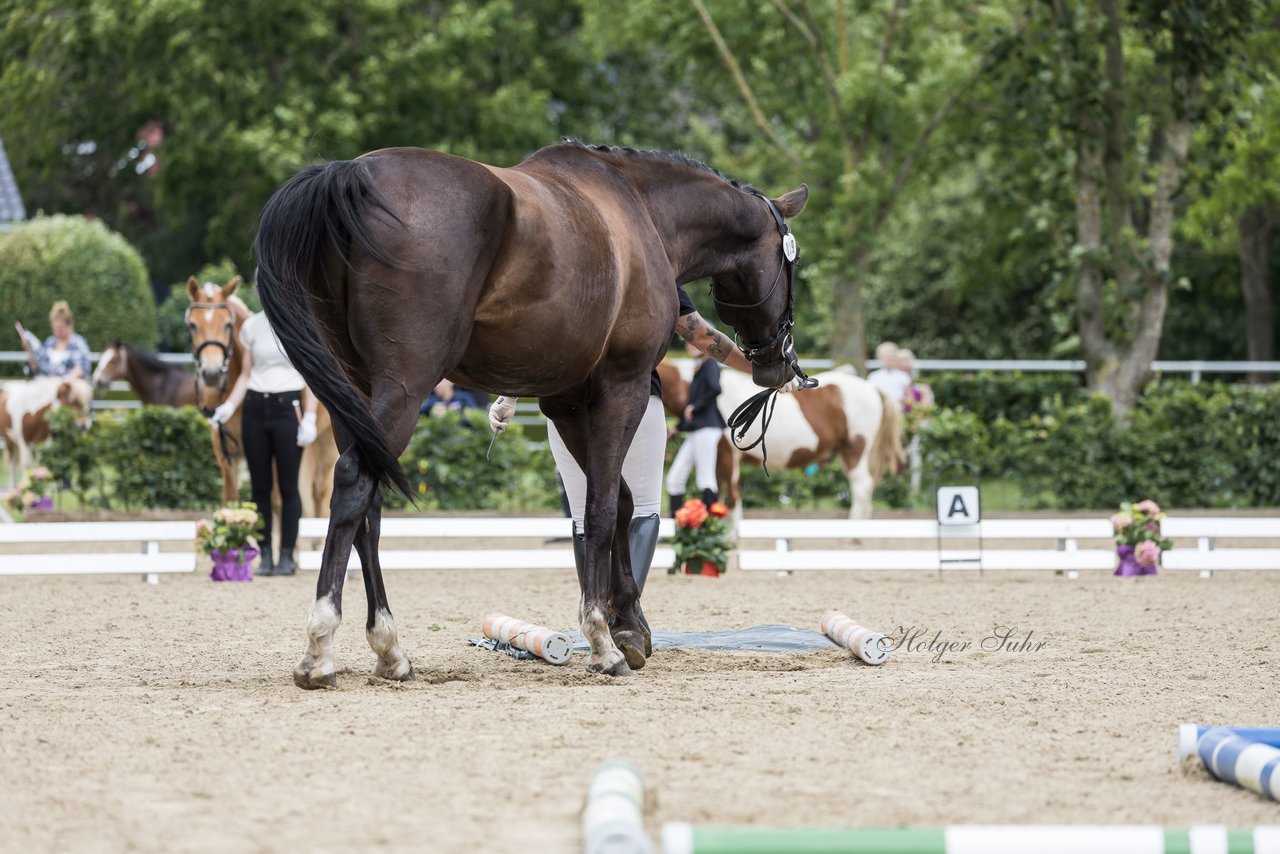 Bild 36 - Pony Akademie Turnier